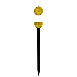 2H16 - Picture Pin & Cap